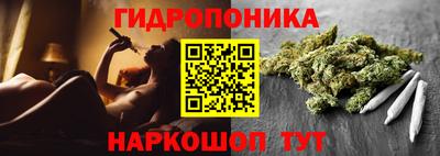 прущие крисы Новодвинск