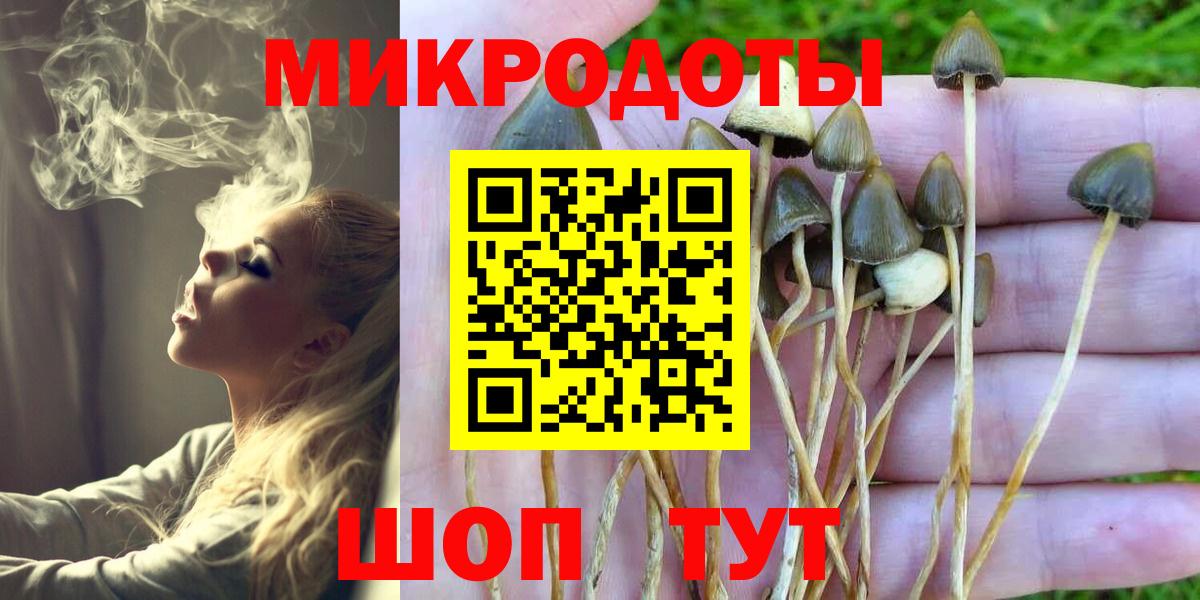 Тосно  Галлюциногенные грибы Psilocybe  Вход с VPN 